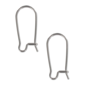 Boucles d'oreilles crochets dormeuses 20 mm en Acier inox x10