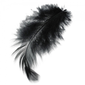 Plumes 8 à 12 cm Noir x3gr