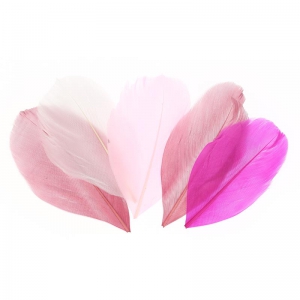 Assortiment de plumes 6 cm Camaïeu Rose x10gr