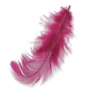 Plumes 8 à 12 cm Dark Fuchsia x3gr