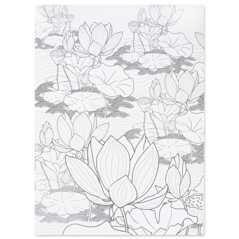 Zen 60 coloriages anti stress p