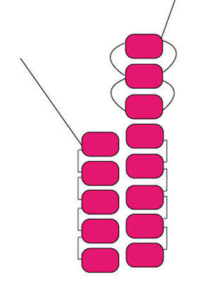 brick-stitch-augmentation_pac_01 brick-stitch-augmentation_pac_01