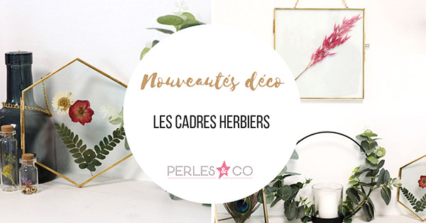 Nos idées DIY pour créer ses cadres herbiers soi-même Nos idées DIY pour créer ses cadres herbiers soi-même