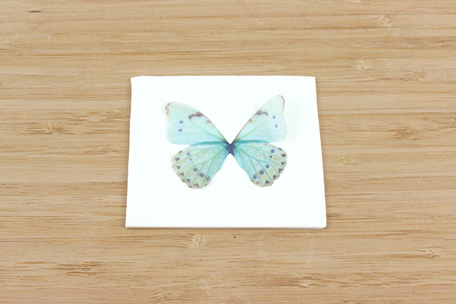 Collier papillon en organza, pâte Fimo et résine UV : Etape 1 Collier papillon en organza, pâte Fimo et résine UV : Etape 1