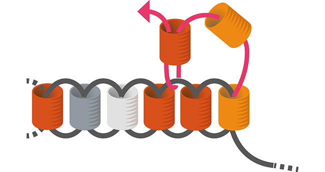 Boucles d'oreilles Brick Stitch losange en perles Miyuki débutant : Etape 5 Boucles d'oreilles Brick Stitch losange en perles Miyuki débutant : Etape 5