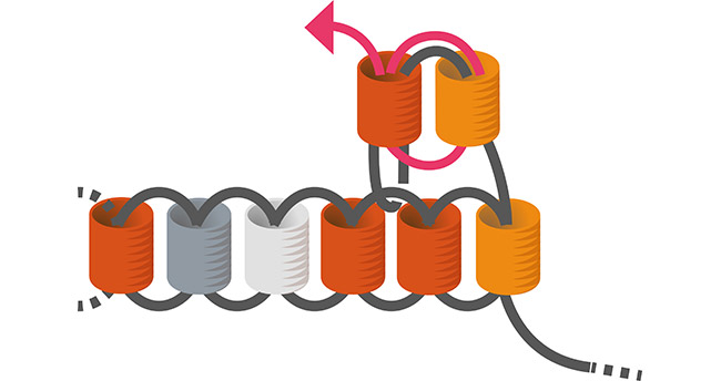 Boucles d'oreilles Brick Stitch losange en perles Miyuki débutant : Etape 6 Boucles d'oreilles Brick Stitch losange en perles Miyuki débutant : Etape 6
