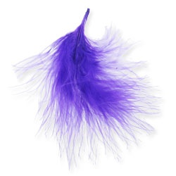 plumes_1