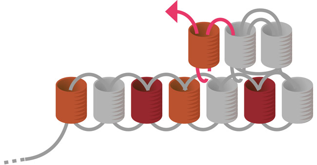 Boucles oreilles rouges miyuki embouts tissage argent 925 : Etape 4