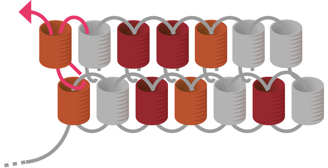 Boucles oreilles rouges miyuki embouts tissage argent 925 : Etape 5