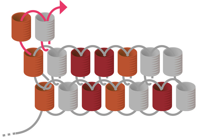 Boucles oreilles rouges miyuki embouts tissage argent 925 : Etape 6