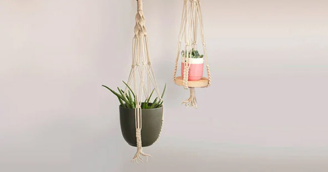 suspension macram&eacute; plante