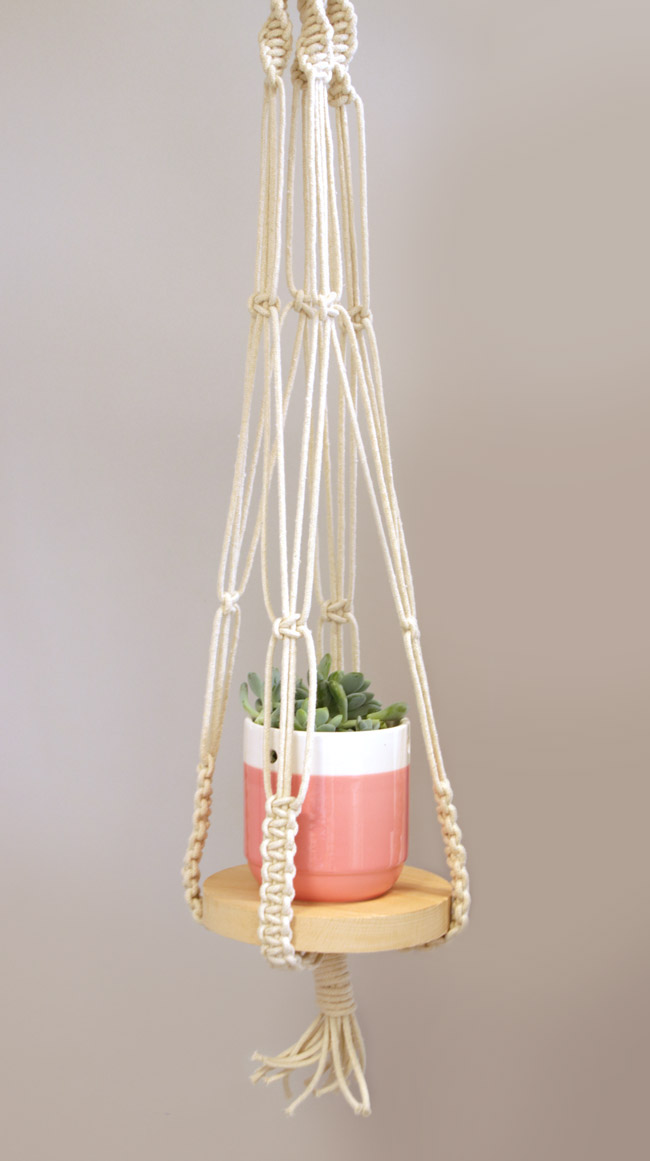 Colgante para plantas DIY - &
