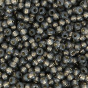 Rocaille Miyuki Duracoat 11/0 4251 - Dyed Smoke Gray Silver Lined x8g