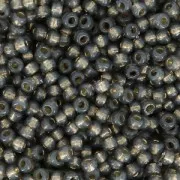 Rocaille Miyuki Duracoat 11/0 4251 - Dyed Smoke Gray Silver Lined x8g