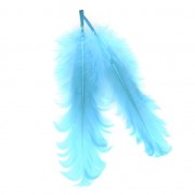 Plume Azur 15 cm x1