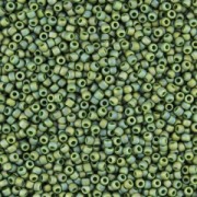 Rocaille Toho 11/0 TO11R2633F - Semi Glazed Rainbow Clover x8g