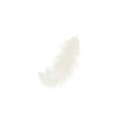 Plumes 8 à 12 cm pour la décoration & les loisirs créatifs Crème x10gr