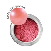 Pigments en poudre à effet métallique - Corail x 6g