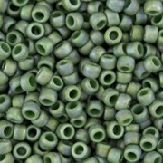 Rocaille Toho 8/0 TO8R2634F - Semi Glazed Rainbow Clover x8g|raw }}