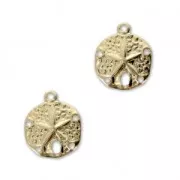 Breloques Sand dollar 5 trous - 11 mm en Gold filled (Or laminé)  x2