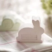 Pigment de couleur Vert Tilleul en poudre pour loisirs créatifs - Rayher x20 ml