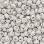 Rocaille Miyuki 11/0 961F - Mat Bright Sterling Silver Plated x5g