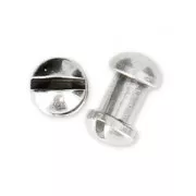 Fermoirs à visser 4 mm pour lacet 5 mm Placage Argent fin vieilli x2