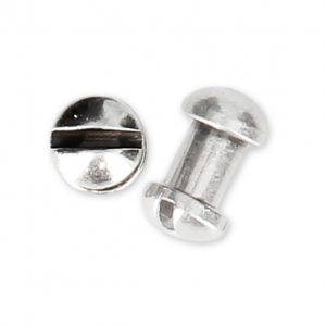 Fermoirs à visser 4 mm pour lacet 5 mm Placage Argent fin vieilli x2