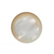 Cabochon rond 10 mm Nacre Blanc x1|raw }}