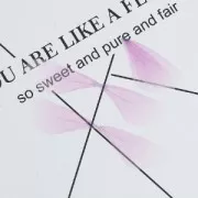 Pendentif ailes de papillon avec 2 trous 42.5x17 mm Mauve et Marron x1