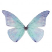 Papillon sans trou 50x35 mm Bleu x1