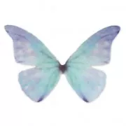 Papillon sans trou 50x35 mm Bleu x1