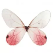 Papillon sans trou 50x35 mm Blanc et Rouge x1