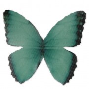 Papillon sans trou 50x35 mm Vert et Noir x1