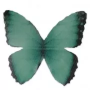 Papillon sans trou 50x35 mm Vert et Noir x1