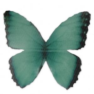 Papillon sans trou 50x35 mm Vert et Noir x1