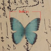 Papillon sans trou 50x35 mm Vert et Noir x1