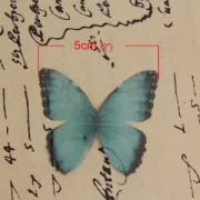 Papillon sans trou 50x35 mm Vert et Noir x1