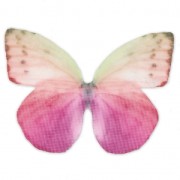 Papillon sans trou 50x35 mm Fuchsia et Violet x1|raw }}