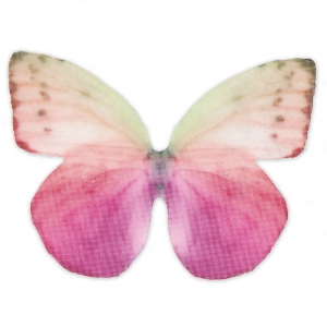 Papillon sans trou 50x35 mm Fuchsia et Violet x1