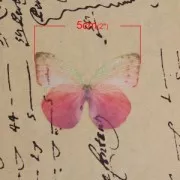 Papillon sans trou 50x35 mm Fuchsia et Violet x1