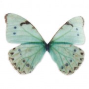 Papillon sans trou 50x35 mm Bleu et Vert x1|raw }}