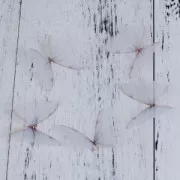 Papillon sans trou 50x40 mm Blanc et Orange x1