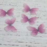 Papillon sans trou 30x21 mm Violet et Fuchsia x1