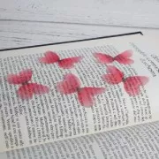 Papillon sans trou 50x30 mm Rouge clair et Marron x1