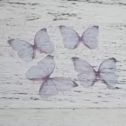 Papillon sans trou 50x35 mm Bleu et Violet x1