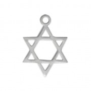 Breloque étoile de David 16.5x12 mm en Acier inoxydable x1|raw }}