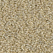 Rocaille Miyuki Duracoat 15/0 4201 - Galvanized Silver x100g