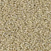Rocaille Miyuki Duracoat 15/0 4201 - Galvanized Silver x100g