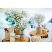 55 rondelles en bois brut 30 - 45 mm pour la décoration DIY